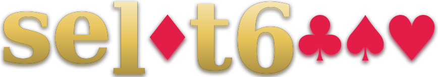 selot6000 logo